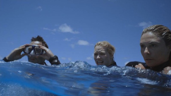 The Reef - Blu-ray Review The Reef - Blu-ray Review