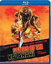 Sands of the Kalahari