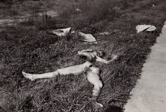 The Black Dahlia The Black Dahlia