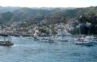 Avalon Harbor