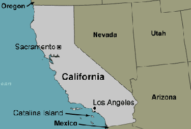 Catalina Island